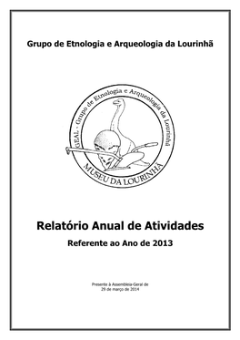 Relatório Anual De Atividades De 2013