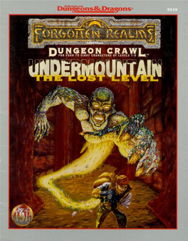 Undermountain: the Lost Level by Steven E