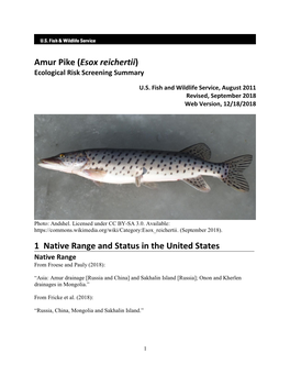 Amur Pike (Esox Reichertii) Ecological Risk Screening Summary