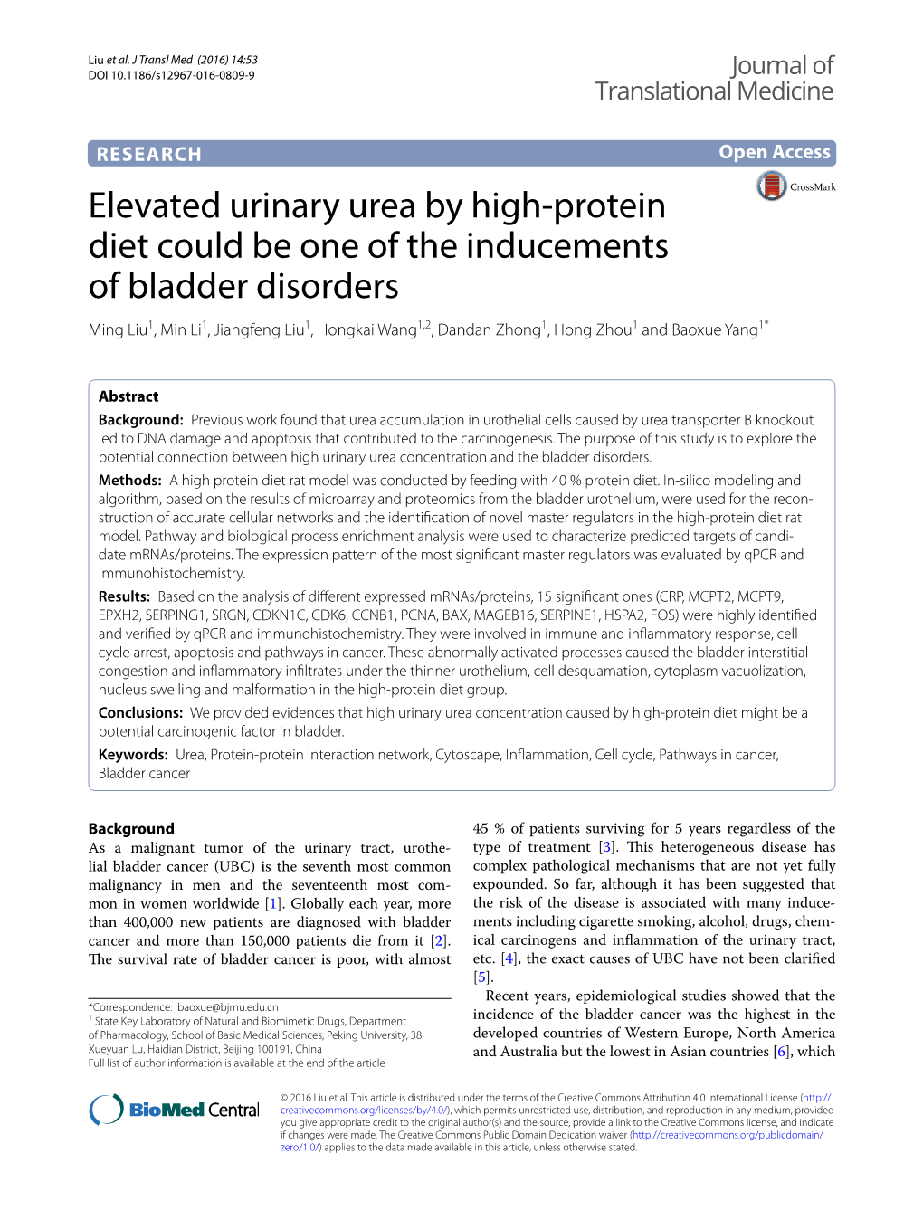 Elevated Urinary Urea by High-Protein Diet Could Be One of the Inducements of Bladder Disorders