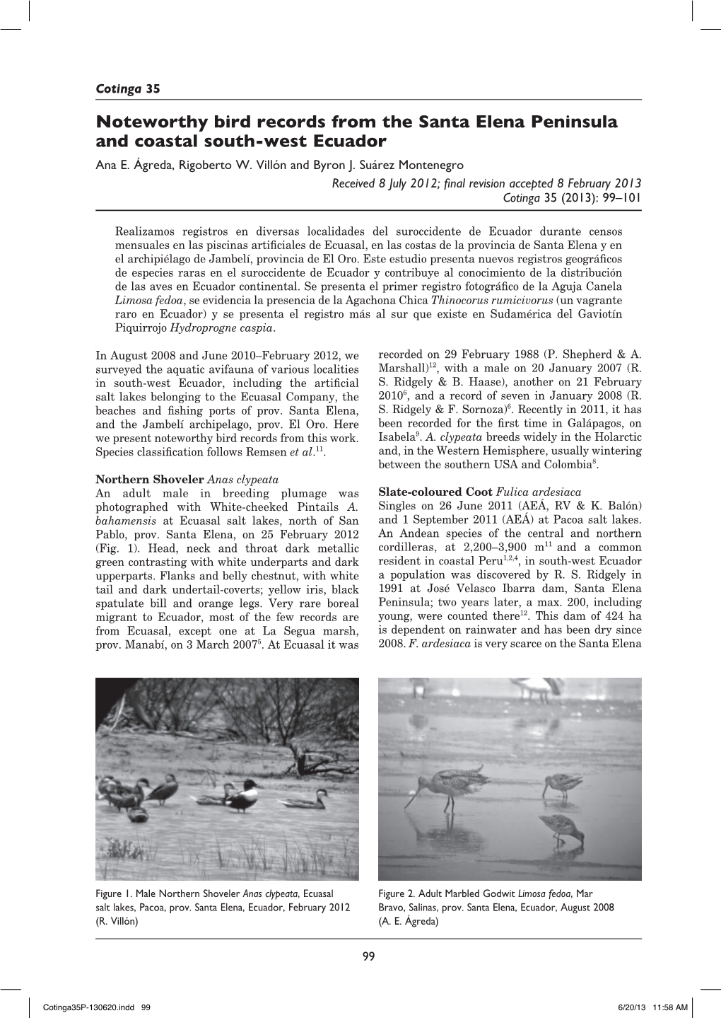 Noteworthy Bird Records from the Santa Elena Peninsula and Coastal South-West Ecuador Ana E