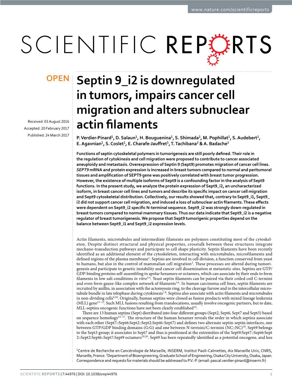 Septin 9 I2 Is Downregulated in Tumors, Impairs
