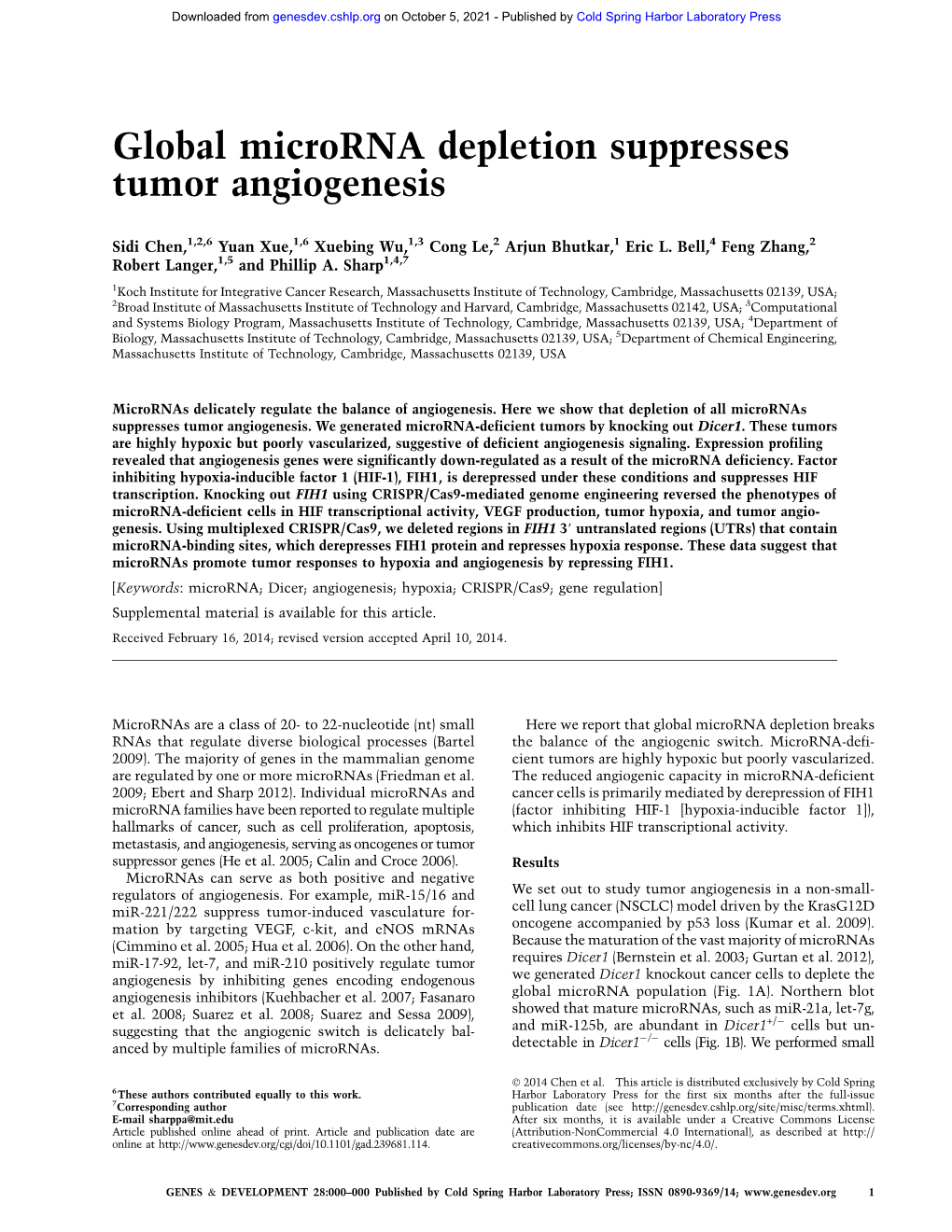 Global Microrna Depletion Suppresses Tumor Angiogenesis
