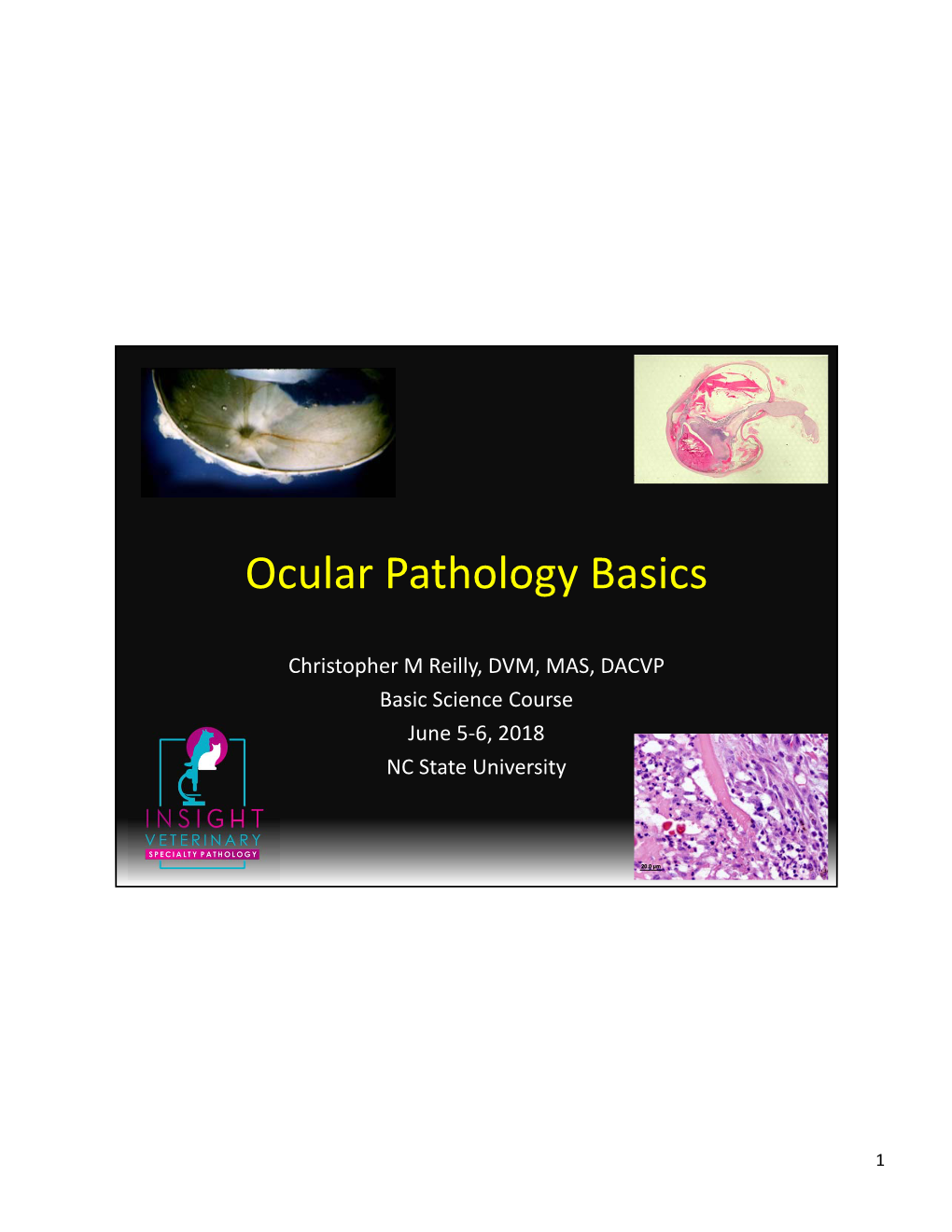 Ocular Pathology Basics