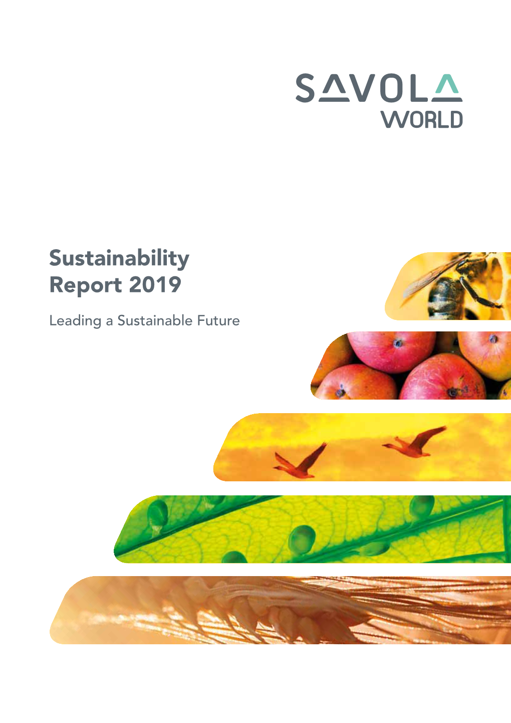 Sustainability Report 2019 Download