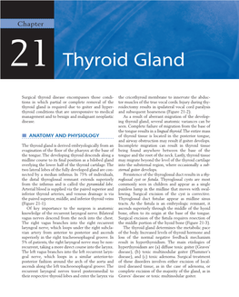 21 Thyroid Gland