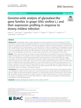 Genome-Wide Analysis of Glyoxalase-Like Gene Families in Grape