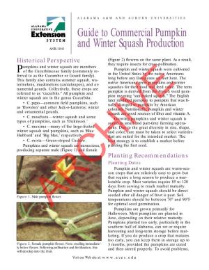 Guide to Commercial Pumpkin and Winter Squash Production ANR-1041