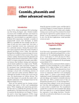 Cosmids, Phasmids and Other Advanced Vectors
