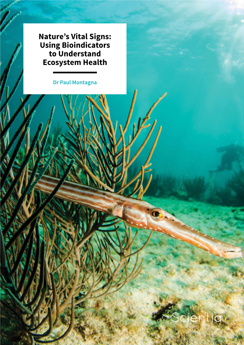 Using Bioindicators to Understand Ecosystem Health