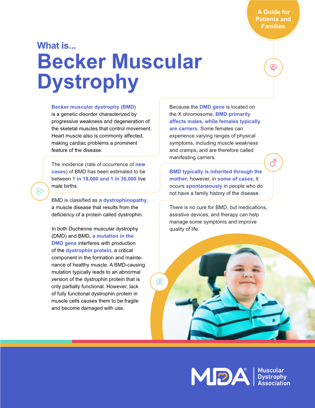 What Is Becker Muscular Dystrophy?