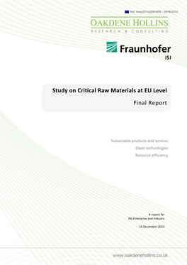 Study on Critical Raw Materials at EU Level Final Report