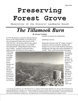 2005 Winter: Tillamook Burn, Old Forest