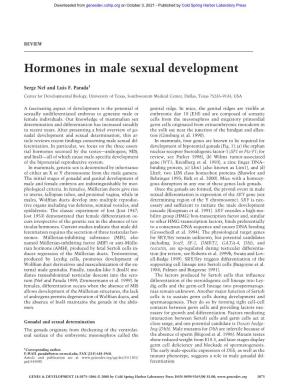 Hormones in Male Sexual Development