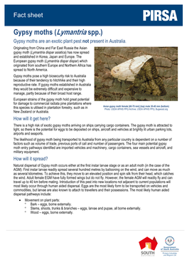 Gypsy Moths (Lymantria Spp.) Gypsy Moths Are an Exotic Plant Pest Not Present in Australia