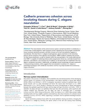 Cadherin Preserves Cohesion Across Involuting Tissues During C. Elegans