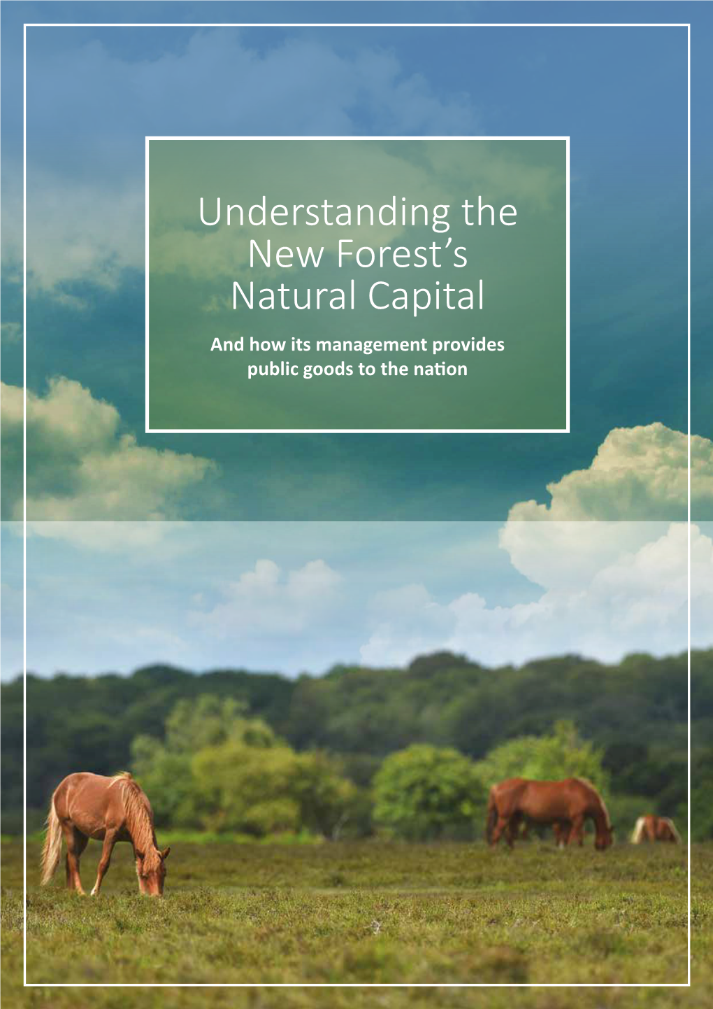 Understanding the New Forest's Natural Capital