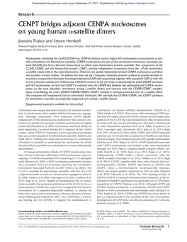 CENPT Bridges Adjacent CENPA Nucleosomes on Young Human Α-Satellite Dimers