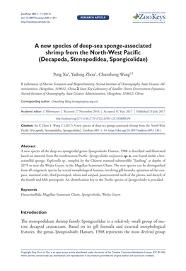 A New Species of Deep-Sea Sponge-Associated Shrimp from the North-West Pacific (Decapoda, Stenopodidea, Spongicolidae)