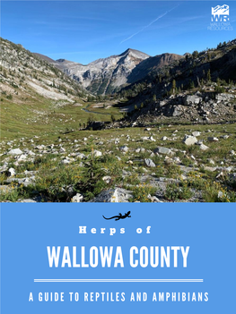 H E R P S O F WALLOWA COUNTY