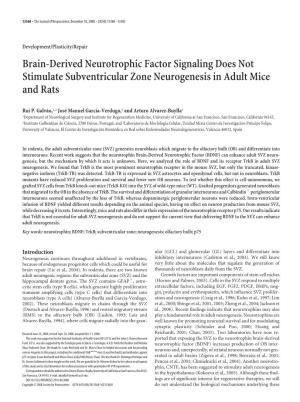 Brain-Derived Neurotrophic Factor Signaling Does Not Stimulate Subventricular Zone Neurogenesis in Adult Mice and Rats