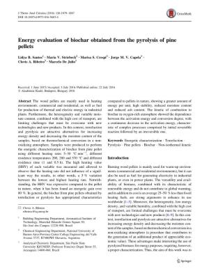 Energy Evaluation of Biochar Obtained from the Pyrolysis of Pine Pellets