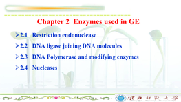 Chapter 2 Enzymes Used in GE
