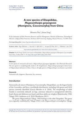 A New Species of Diaspididae, Megacanthaspis Guiyangensis (Hemiptera, Coccomorpha) from China