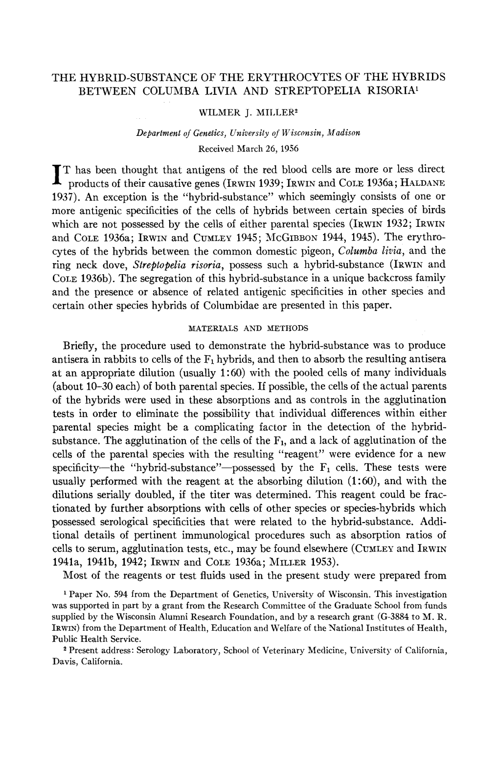 THE HYBRID-SUBSTANCE of the ERYTHROCYTES of the HYBRIDS BETWEEN COLUMBA LIVIA and STREPTOPELIA RISORIA' T Has Been Thought