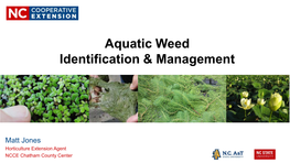 Aquatic Weed Identification & Management