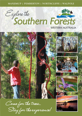 Explore Southern Forests