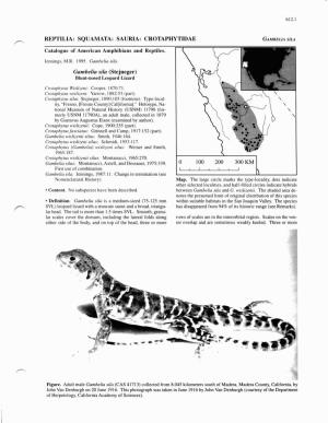REPTILIA: SQUAMATA: SAURIA: CROTAPHYTIDAE Fi Catalogue of American Amphibians and Reptiles