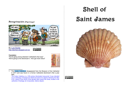 Shell of Saint James Peregrinación (Pilgrimage)