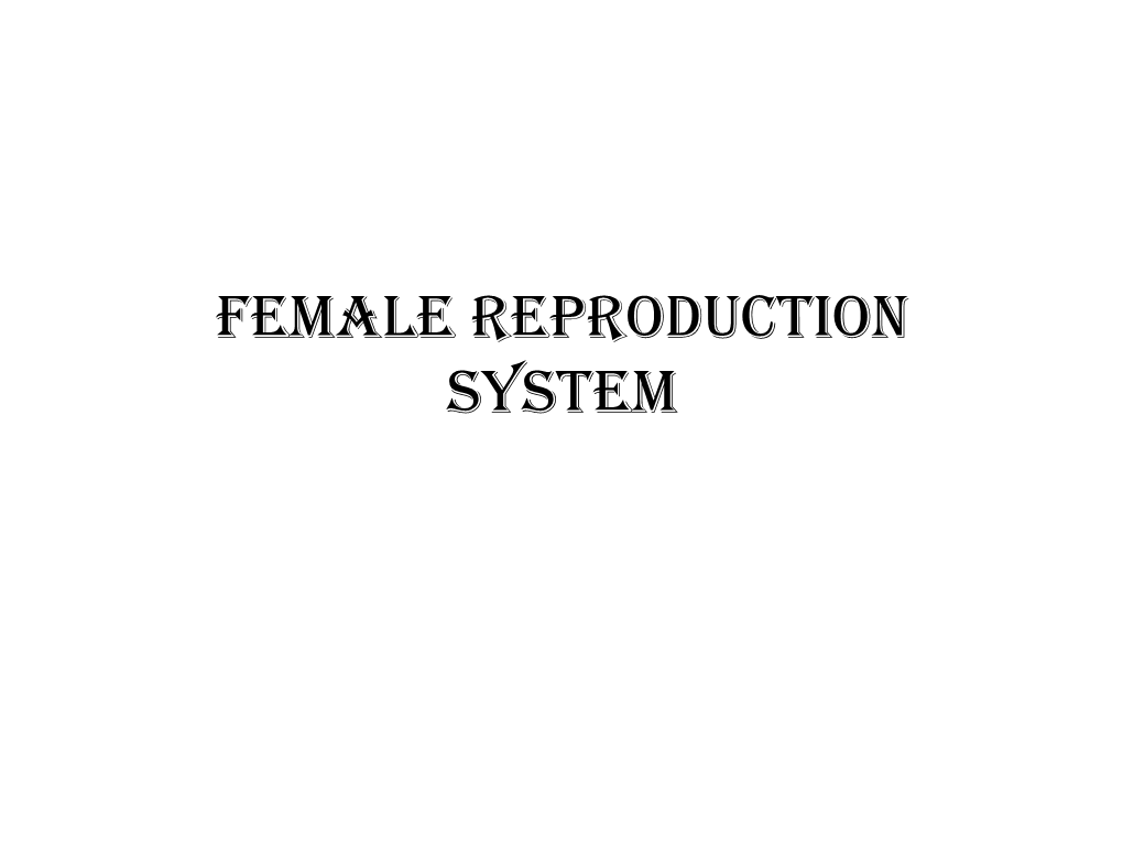 Female Reproduction System