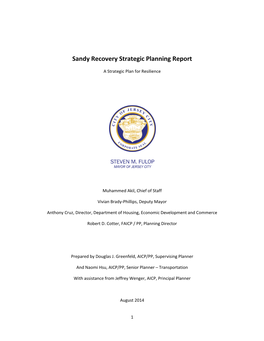 Sandy Recovery Strategic Planning Report
