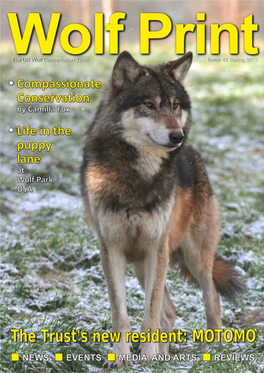 Issue 42 Spring 2011 Compassionate Conservation by Camilla Fox Life in the Puppy Lane at Wolf Park USA