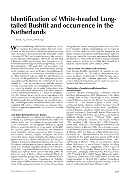 Identification of White-Headed Long- Tailed Bushtit and Occurrence in the Netherlands