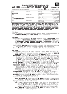 Lot 1066 (100% GST)BAY OR BROWN COLT Stable B 1 Foaled 22Nd September 2018 Branded : Nr Sh; 11 Over 8 Off Sh