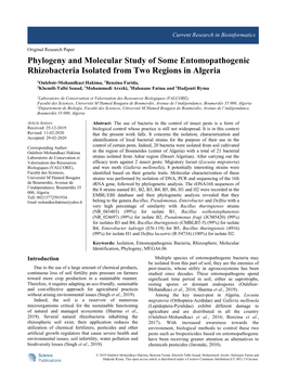 Phylogeny and Molecular Study of Some Entomopathogenic Rhizobacteria Isolated from Two Regions in Algeria