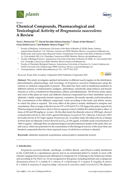 Chemical Compounds, Pharmacological and Toxicological Activity of Brugmansia Suaveolens: a Review