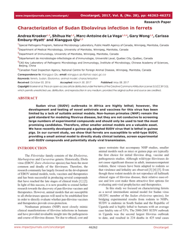 Characterization of Sudan Ebolavirus Infection in Ferrets