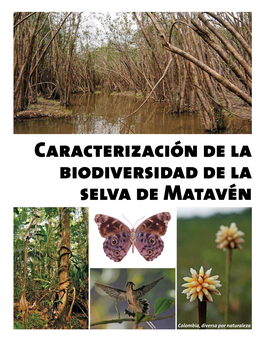 Caracterización De La Biodiversidad De La Selva De Matavén Caracterización Dela Biodiversidad Dela Selva Dematavén Colombia, Diversa Pornaturaleza