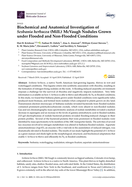 Biochemical and Anatomical Investigation of Sesbania Herbacea (Mill.) Mcvaugh Nodules Grown Under Flooded and Non-Flooded Conditions