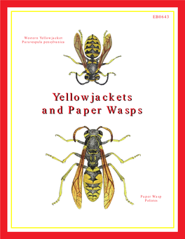 Yellowjackets and Paper Wasps Peter J