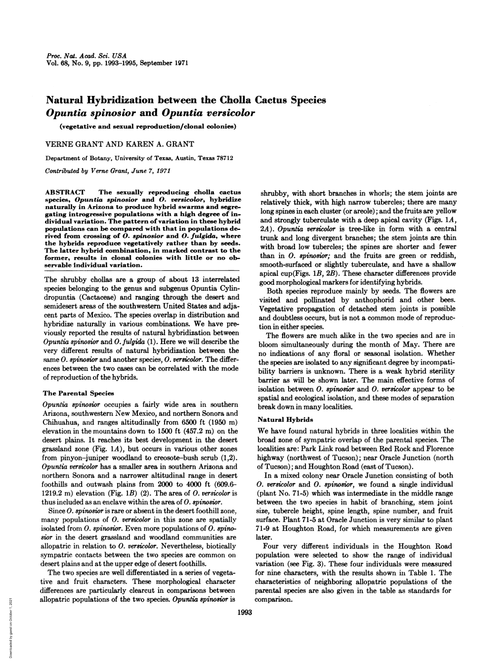 Natural Hybridization Between the Cholla Cactus Species Opuntia