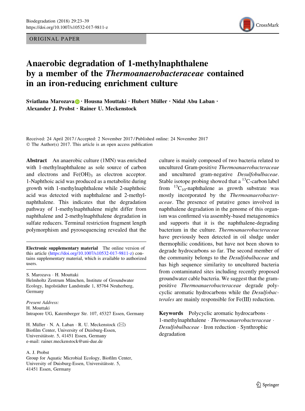 Anaerobic Degradation of 1-Methylnaphthalene by a Member of the Thermoanaerobacteraceae Contained in an Iron-Reducing Enrichment Culture