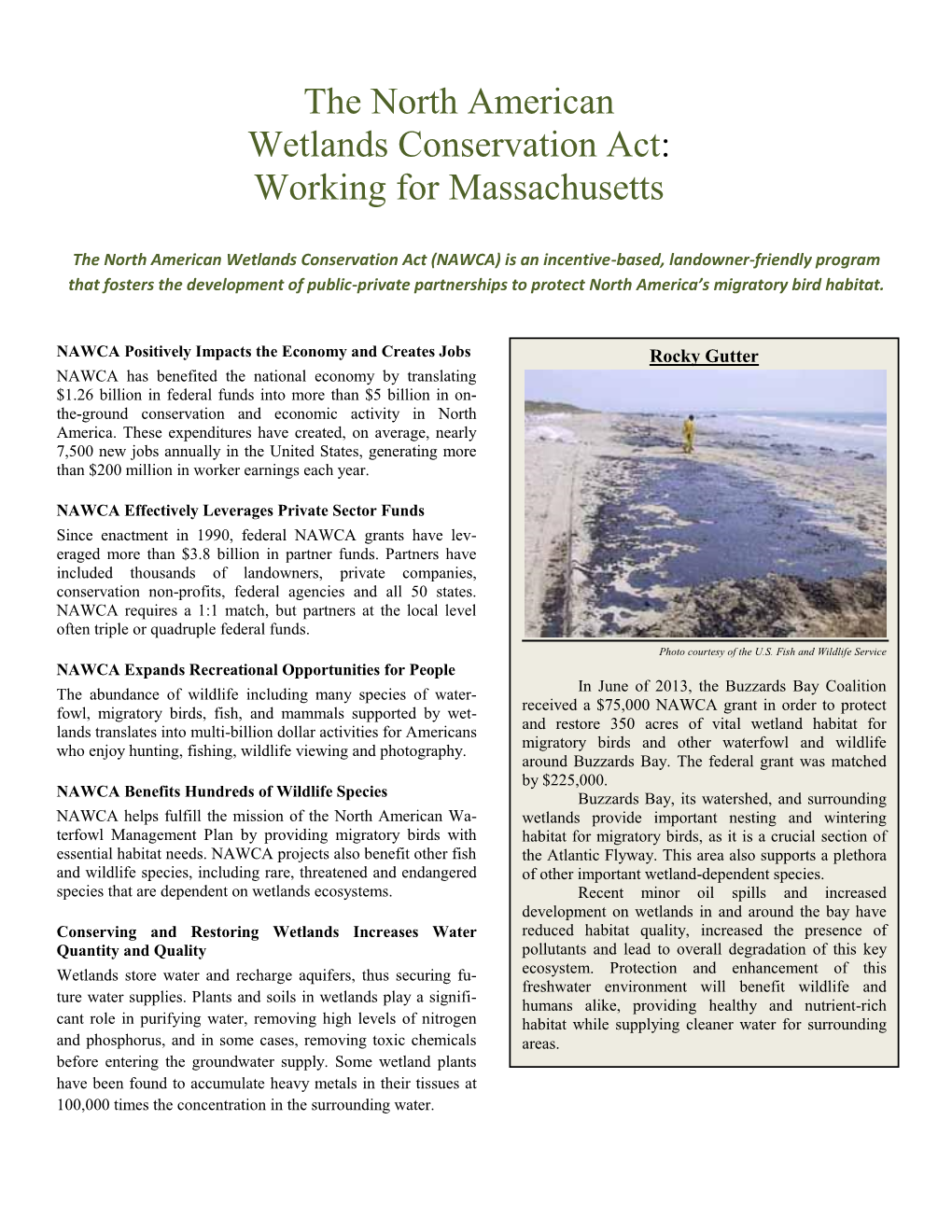 The North American Wetlands Conservation Act: Working for Massachusetts