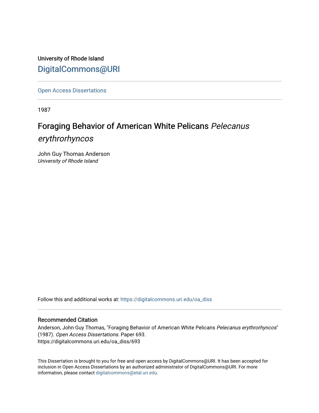 Foraging Behavior of American White Pelicans Pelecanus Erythrorhyncos