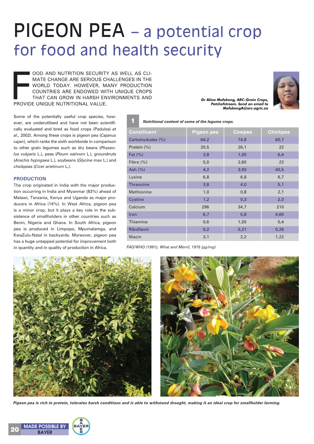 PIGEON PEA – a Potential Crop for Food and Health Security