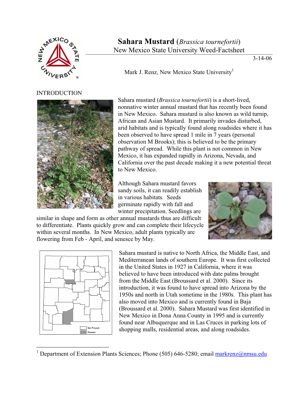 Sahara Mustard (Brassica Tournefortii) New Mexico State University Weed-Factsheet 3-14-06